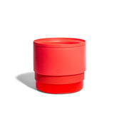Cat Food, Dog Food, Pet Household Bowl