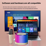 K52 Wireless Audio Integrated Karaoke Speaker