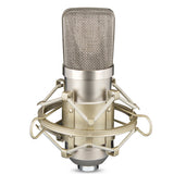 Large Diaphragm Condenser Microphone