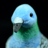 Little Pigeon Plush Toys