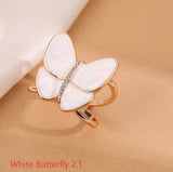 Multifunctional High-end Scarf Buckle, Windbreaker Belt Accessories