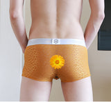 Ice Silk Mesh Fabric, Translucent Men's Underwear (Pack of 2)