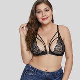 Floral Lace, Plus Size, Bra