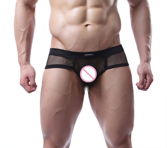 European and American, Men's Large Mesh Briefs