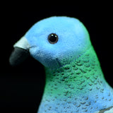 Little Pigeon Plush Toys