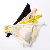 Men's Thin Ice Silk Underwear, U-convex Micro Sheer Briefs (Pack of 2)