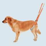 Portable Dog Rehabilitation Support Belt for Training and Mobility