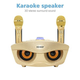 Portable Wireless, KTV Family Microphone