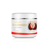 Pueraria Mirifica Enhance and Enlargement Augmentation Cream, Bust Breast Plumper Massager Gel