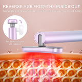 Wand Skin Care EMS Micro-current Introduction Rotatable Vibration Face and Neck Massager