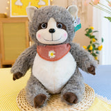 Raccoon Dolls, Plush Toys for Fun