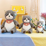 Raccoon Dolls, Plush Toys for Fun