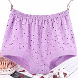 Plus Size, Fat Women's Briefs, Underwear for Moms