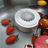 Portable Fruit & Vegetable Disinfection Cleaner – Electrolysis Sterilizing Device