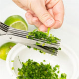 Stainless Steel Multi-layer Herb & Green Onion Scissors for Seaweed, Spices & Kitchen Prep