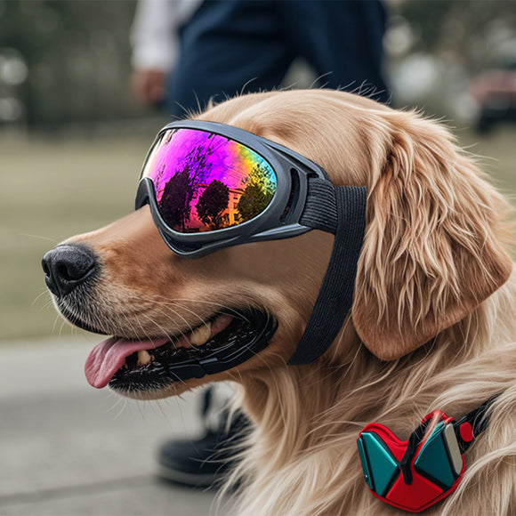 Windproof Plastic Pet Glasses for Dogs