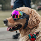 Windproof Plastic Pet Glasses for Dogs