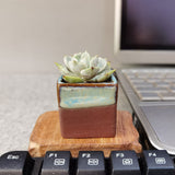 Desktop Decor Accessories, Succulent Flower Empty Square Pot