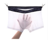 Men's Ice Silk Seamless Trunks, Underwear (Pack of 2)