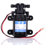 Water Pump Motor