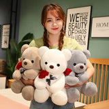 Lovely Hug Roses Teddy Bear Plush Pillow Stuffed Soft Animal Dolls, Nice Birthday Gifts for Girlfriends, Valentine's Day