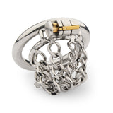 Skeletonized Chastity Lock, Potpourri Short Chain