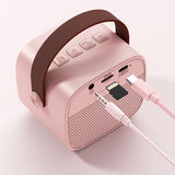 Wireless Bluetooth Portable Audio with Microphone