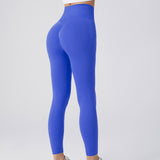 Seamless Fitness Pants, Tummy Control, Workout, Running, Yoga Leggings for Women