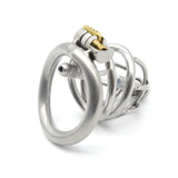 Ring Metal, Stainless Steel Chastity Lock, Catheter Device