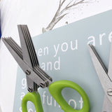 Stainless Steel Multi-layer Herb & Green Onion Scissors for Seaweed, Spices & Kitchen Prep