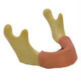Dental Implant Practice of Model Dental Materials