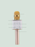 Handheld Microphone Speaker