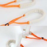 Portable Dog Rehabilitation Support Belt for Training and Mobility