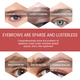 Long-lasting Shaping, Eyebrow Laminated Suit