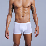 Elastic, Comfortable Boxer Shorts (Pack of 2)