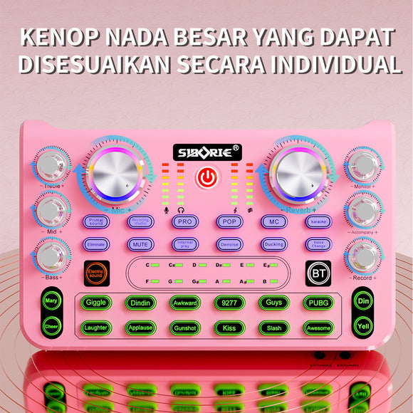 X66 M998 Sound Card for Live Show, KTV Microphone Full Set