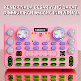 X66 M998 Sound Card for Live Show, KTV Microphone Full Set