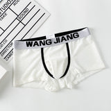 Ice Silk Mesh Fabric, Translucent Men's Underwear (Pack of 2)