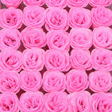 Crystal Rose Perianth, Fake Bouquet Material