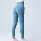 Seamless Fitness Pants, Tummy Control, Workout, Running, Yoga Leggings for Women