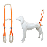 Portable Dog Rehabilitation Support Belt for Training and Mobility