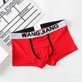Ice Silk Mesh Fabric, Translucent Men's Underwear (Pack of 2)