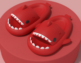 Tides for Grown-ups, Indoor and Outdoor Funny Shark Slippers