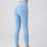 Seamless Fitness Pants, Tummy Control, Workout, Running, Yoga Leggings for Women