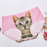 Cat Head Traceless Ventilation, Ice Silk Mid Waist, Women's Briefs