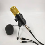 BM800 Studio Condenser Microphone, USB Plug-and-Play with Reverb and Volume Control
