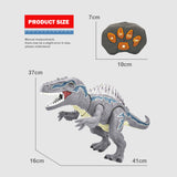 Remote Control, Dinosaur Spray, Electric RC Toy