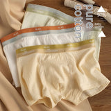 Boys' Antibacterial Four Corner Shorts, Pure Cotton Crotch for Breathability