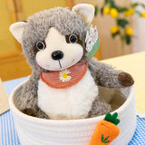 Raccoon Dolls, Plush Toys for Fun