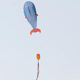 Cartoon Style, Children's Large Soft Kite